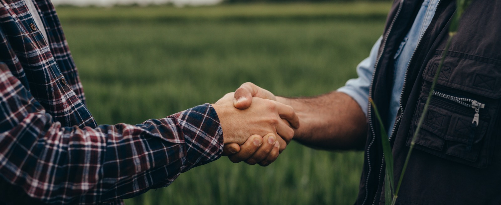 Two farmers in a field shaking hands