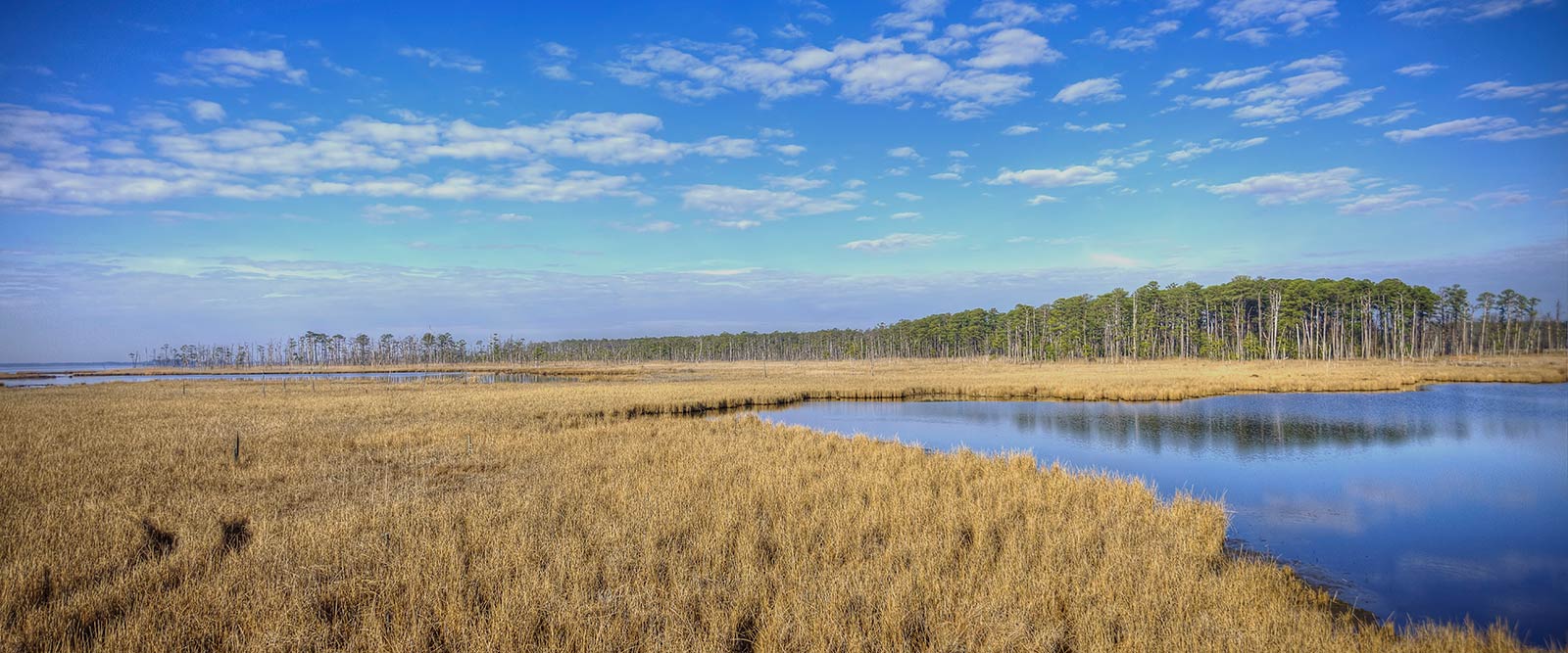 Maryland field and lake